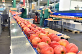 Maybe you would like to learn more about one of these? Food And Beverage Logistics Digitalizing Your Transportation Process