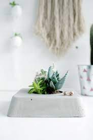We did not find results for: Diy Concrete Planter Box For Succulent Plants