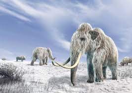 Top 10 animals found frozen in ice. Frozen In Time 5 Prehistoric Creatures Found Trapped In Ice Live Science