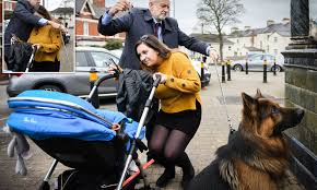 Because i just watched john mulaney's new netflix special kid gorgeous and he talks about his dog stroller. Labour Leader Corbyn Borrows Acer The Alsatian For A Photo Op Daily Mail Online