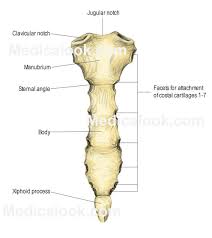 Pin On Forensic