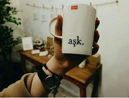 lugat365 ask