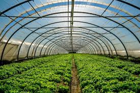 Mayo, mes de la agricultura en andalucía. Junta De Andalucia Agricultura Amplia En 2 7 Millones Las Ayudas Para La Mejora De Invernaderos En Andalucia