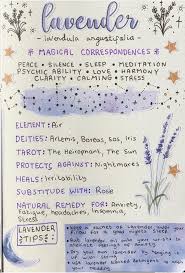 Lavender In 2020 Wiccan Spell Book Witch Herbs Magic Herbs