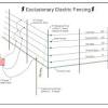 What is electric fencing electric fence is, as the name suggests, a fence made up of alternate live and earth electric wire. Https Encrypted Tbn0 Gstatic Com Images Q Tbn And9gcra4ksu9wrtfih2rr Qed3s2esyoctxj1pvd8swsafsmhlzxmr Usqp Cau