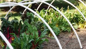 The most common metal plant supports material is metal. 5 Simple Steps To Build Low Tunnels Hobby Farms
