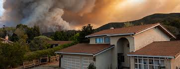 It has been the first pest control company awarded with the iso 4001 ems certification for its environmental substance and practices. Do I Need To Bug Bomb My House To Stop Head Lice Lice Clinics Of America Lexington