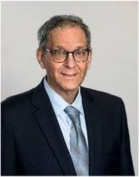 247_2021_5192_Article 1..259