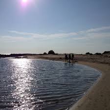Le Grand Radeau Camargue Tourism Camargue Water