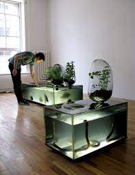 This aquarium stand is just the thing to show off your 20 gallons aquarium filled with all your favorite gold fish, guppies, bettas, rainbow fish, and so much more. Local River Home Storage Unit For Fish And Greens Yatzer Indoor Water Garden Home Aquaponics