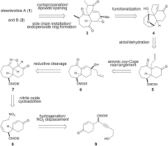 Image result for Croton steenkampianus