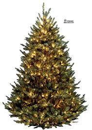 Polish your personal project or design with these christmas tree transparent png images, make it even more. Pin On Png