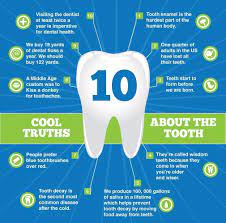 Rd.com knowledge facts you might think that this is a trick science trivia question. The Best Tooth Trivia Turner Dental Care Jeff Turner Dds