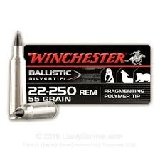 22 250 55 Grain Polymer Tip Winchester Ballistic Silvertip 20 Rounds