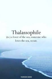 I felt the full breadth and depth of the ocean around the sphere of the earth, … the endless waves of swimming joy and quiet losses of exquisite creatures with fins and fronds, tentacles and wings, colorful and transparent, tiny and huge, coming and. 190 Beach Lover Quotes Sayings Ideas Beach Quotes Beach Quotes