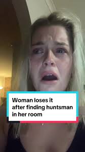 White Lady Huntsman Spider