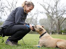 Image result for tbn:ANd9GcT9GTDvoeZslbTfRgc9SbtLfmHl15TvbB2vJ134_7_XnofUBeY3skxFMC8:https://www.doglife.sitew.com/fs/Root/5vdf8-5615663_chien_malade_sur_le_c_t_et_sur_fond_blanc.jpg