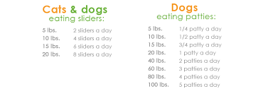 69 Skillful Food Quantity Chart Calculator