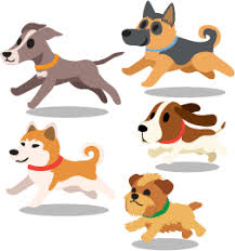 Maybe you would like to learn more about one of these? The Pet Express Online Pet Shop Over 18 000 Great Pet Products