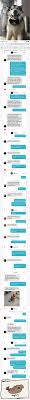 Tinder plus and tinder gold is now used by 4.1 million tinder users and is believed to generate around $800 million in revenue for match group, tinder's owners. Owner Creates Tinder Profile For His Doggo And Their Conversation Is Way Too Adorable 9gag