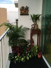 Green Balcony Ideas 1000 Ideas About Indoor Swing On Pinterest In 2020 Small Balcony Garden Small Balcony Design Indian Home Decor