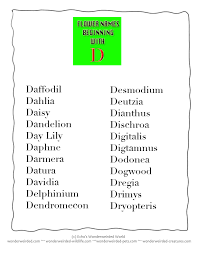 Dictionary Of Flower Name Beginning With D Wonderweirded Wildlife Com Free Alphabetical Flower Names Poster T Flower Names All Flowers Name Flower Dictionary