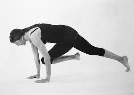 Plank With Knee To Opposite Elbow From Downward Facing Dog Slowly Bring Your Leg Underneath You With A Bent Knee Reach Your Downward Facing Dog Knee Exercise