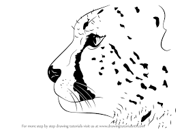 Make sure the head isn't too oversized for your paper since you still have to fit in the rest of the cheetah's body in proportion to it. Learn How To Draw A Cheetah S Head Big Cats Step By Step Drawing Tutorials