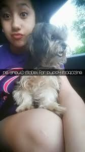 Where is a 9-month-old Morkie named last seen in 7th Street area?