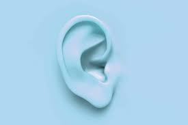 Comment Deboucher Une Oreille Quebec Science
