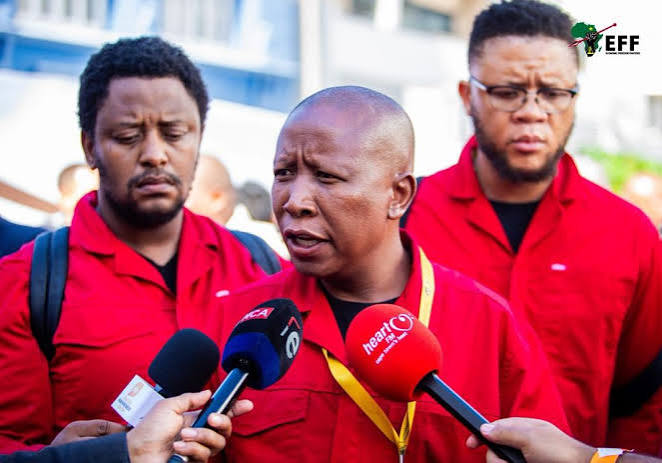 Julius Malema demands R1 million, apology from Ngizwe Mchunu over 'false' drug dealer claims - Inside Politic