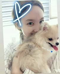 Ig Story Update Nayeon And Kookeu Twice ÍŠ¸ì™€ì´ìŠ¤ Ã…¤ Amino 1yr · kookeu · r/twice. ig story update nayeon and kookeu