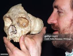 406 Chris Scull Stock Photos, High-Res Pictures, and Images