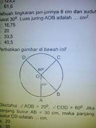 Check spelling or type a new query. Diketahui Aob 20 Cod 60 Jika Panjang Busur Ab 30cm Maka Panjang Busur Cd Adalah Cm Brainly Co Id
