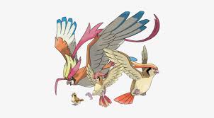 Coloring fun for all ages, adults and children. Pidgey Pidgeotto Pidgeot Pokemon Pidgeot Transparent Png 428x380 Free Download On Nicepng