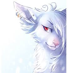 See more ideas about anime wolf, anime, wolf art. Anime White Wolf Pictures Novocom Top