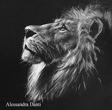 Black And White Lion Tattoo Drawing Custom Realistic Animal Potrait White On Black By Fantasyclouds Black Paper Drawing Black And White Art Drawing Animal Drawings