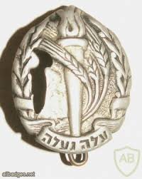 בלאדינו קוראים להם יפרקיטוס, הכורדים קוראים להם יפרח, אבל. All Badges Site For Collectors Of Badges And Insignia Viewing Badge ×ž×—× ×•×ª ×¢×•×œ×™×