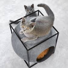 Cube Cocon Edition Metal Meyou Maison Pour Chat Wanimo Lit Pour Chat Chenil Chat Jolis Chats