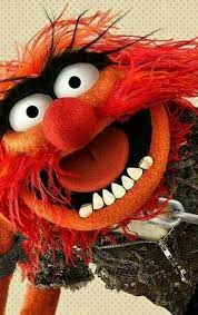 This game app is available for ipad, and iphone. Animal Animal Muppet Muppets The Muppet Show