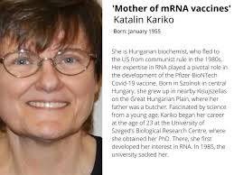 Allí se doctoró en bioquímica y con 30 años katalin kariko quería superar este obstáculo, pero nadie estaba dispuesto a financiar su empeño. Drew Weissman Father Of Revolutionary Covid 19 Mrna Vaccine Sets Next Target Cancer Other Viral Diseases Special Reports Gulf News