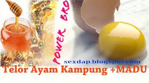 Hal dilakukan supaya usaha ternak ayam yang mereka lakukan, masih bisa dijalankan dengan baik. Ubatkuat Ubat Kuat Lelaki Dari Madu Dan Telur Ayam Kampung
