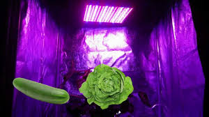 Check spelling or type a new query. Growace Com 14w Advance Spectrum Led Grow Light Hydroponics Growace Com Youtube