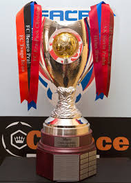 Česká fotbalová liga (v sezóně 2021/22 sponzorským názvem fortuna:liga) je česká profesionální fotbalová soutěž, nejvyšší soutěž v systému fotbalových soutěží v česku. Slavne Trofeje Liga Mistru Stary Krapac I Salatova Misa Aktualne Cz