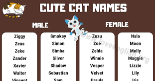 Female black and white cat names. Cat Names Top 160 Most Popular And Cute Kitten Names Love English