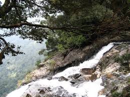 Tour du lịch Bạch Mã 1 ngày từ Huế