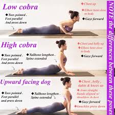 Tips For Yogabeginner The Cobrapose Bhujangasana Helps To Strengthen The Spine And Shoulders Lowcobra Variation Yoga Benefits Ashtanga Yoga Yoga Tips