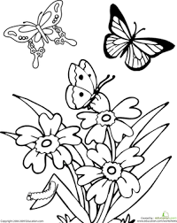 Butterfly of beautiful open wings. Butterfly Worksheet Education Com Spring Coloring Pages Flower Coloring Pages Butterfly Coloring Page