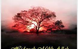 Semoga allah membantu dan menolong kita. Milik Thayyibah