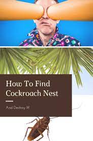 How To Find Cockroach Nest And Destroy It Pest Survival Guide Cockroaches Nest Hiding Spots